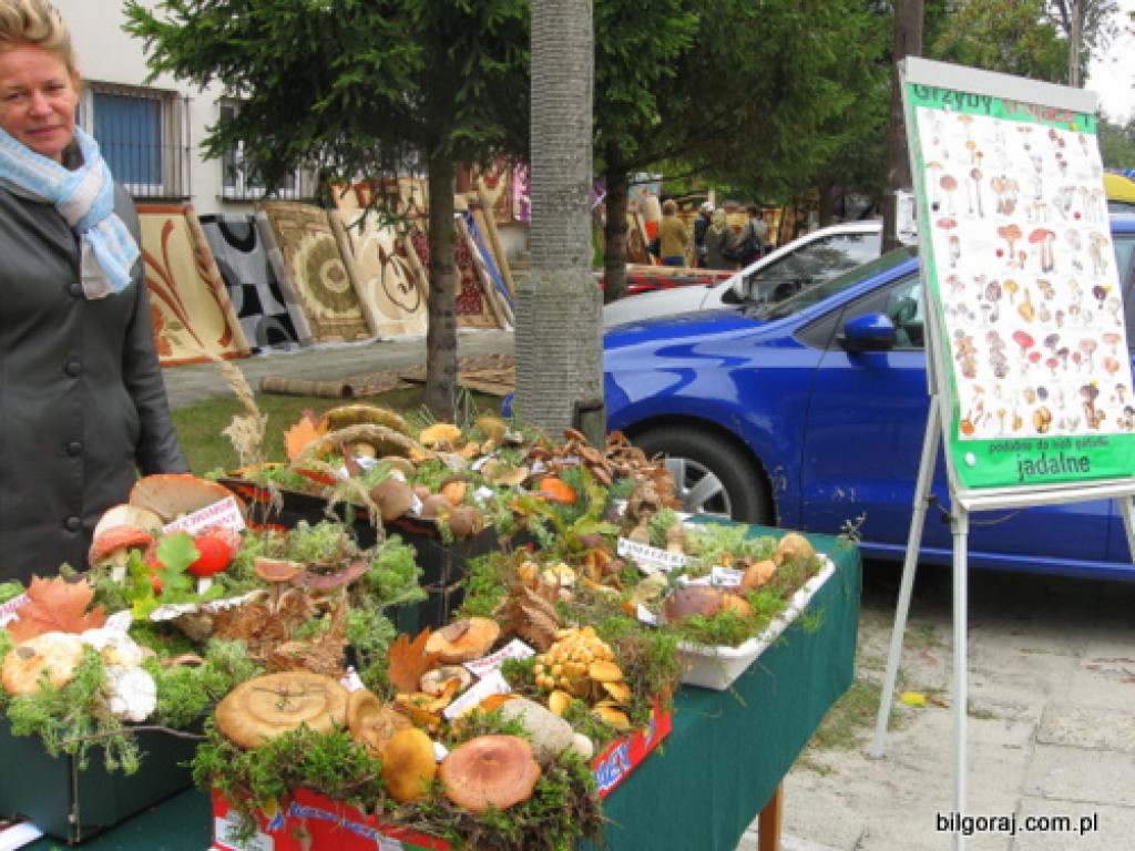 Na grzyby! (NOWE FOTO)