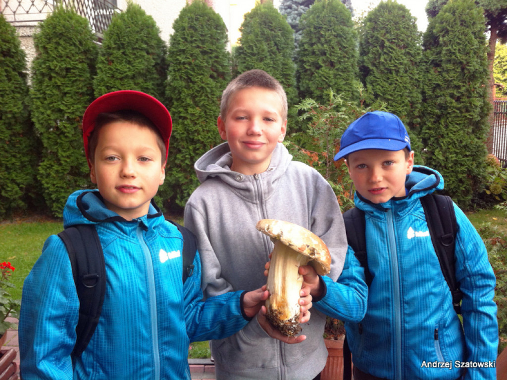 Na grzyby! (NOWE FOTO)