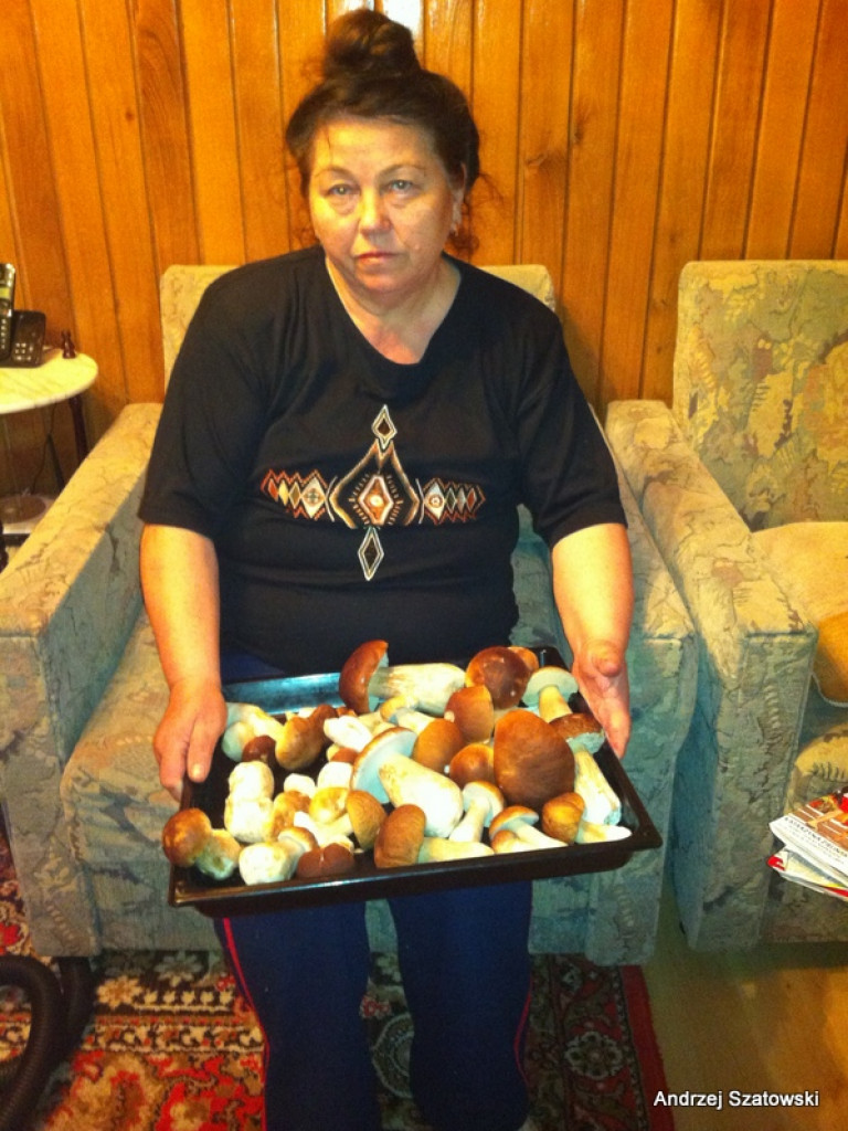 Na grzyby! (NOWE FOTO)