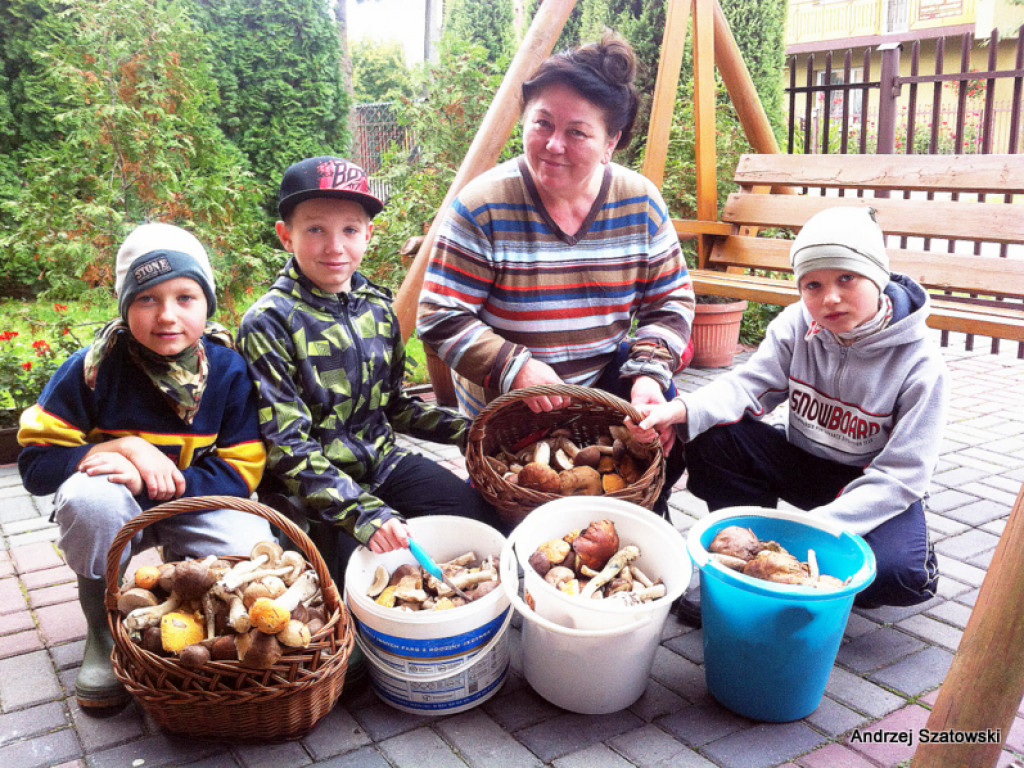 Na grzyby! (NOWE FOTO)