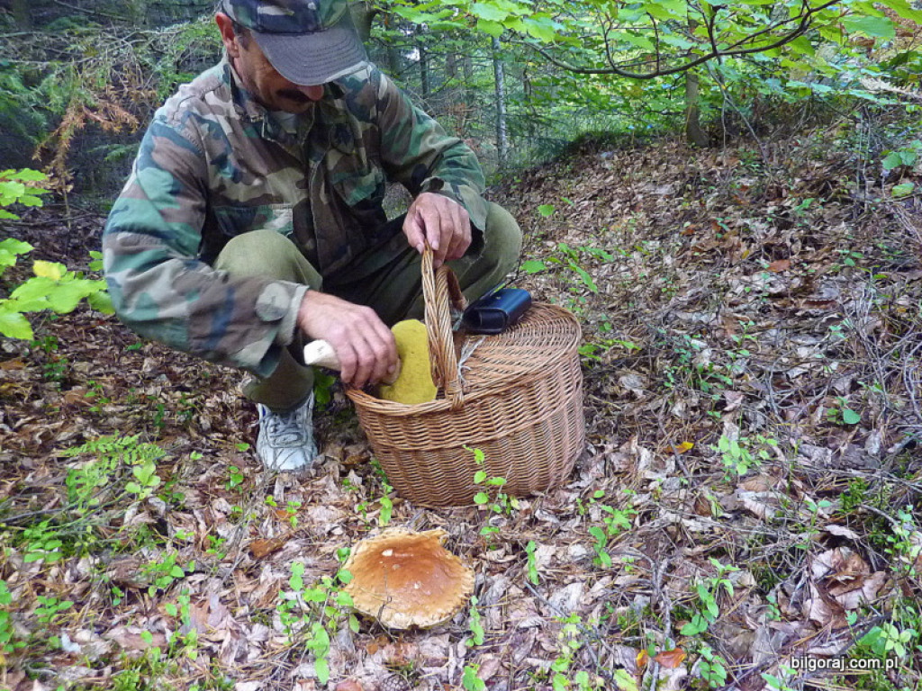 Na grzyby! (NOWE FOTO)