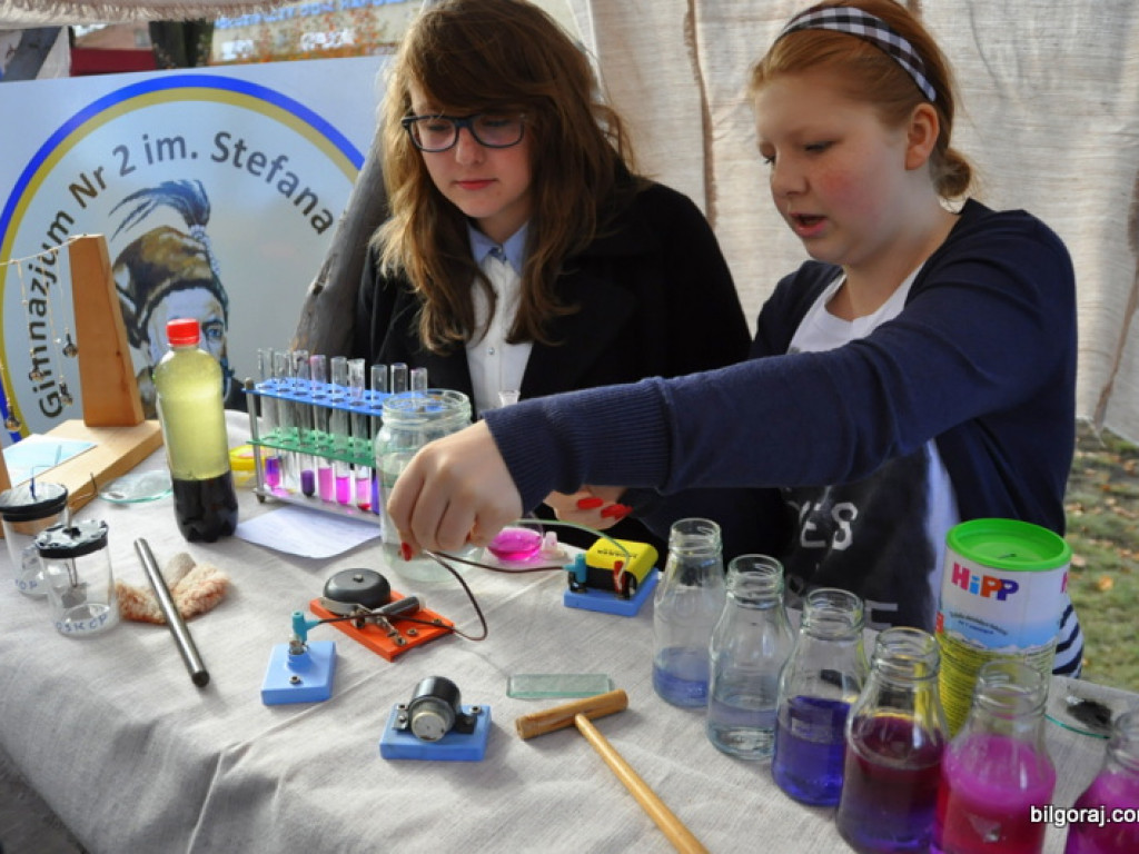 Powiatowe Targi Obywatelskie (FOTO)