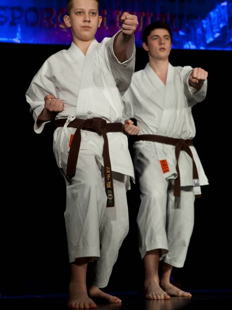 Sportowe i kulturalne podsumowanie 2013 roku w Biłgoraju