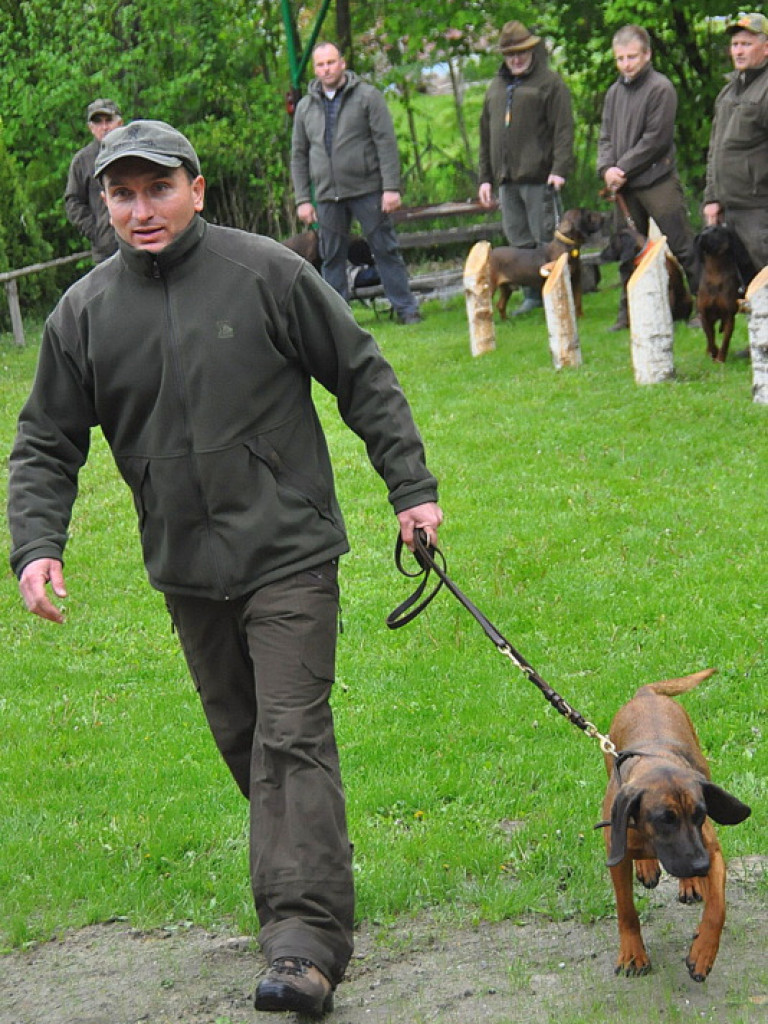 Psy myśliwskie rywalizowały w Wólce Biskiej (WYNIKI, FOTO)