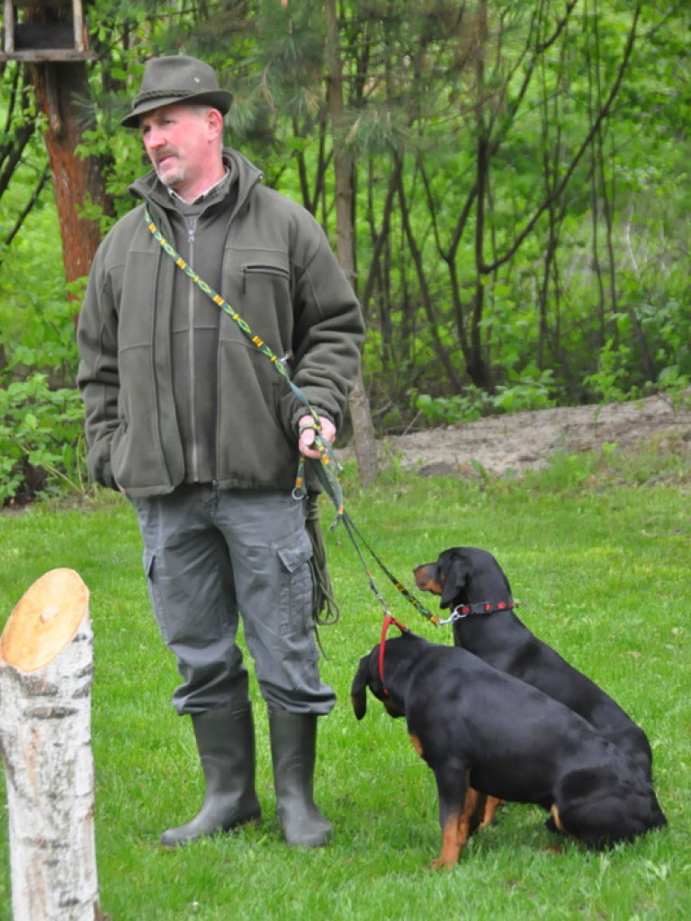 Psy myśliwskie rywalizowały w Wólce Biskiej (WYNIKI, FOTO)