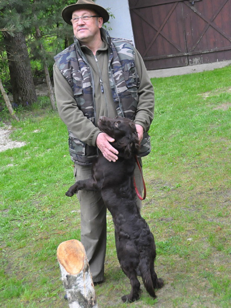 Psy myśliwskie rywalizowały w Wólce Biskiej (WYNIKI, FOTO)