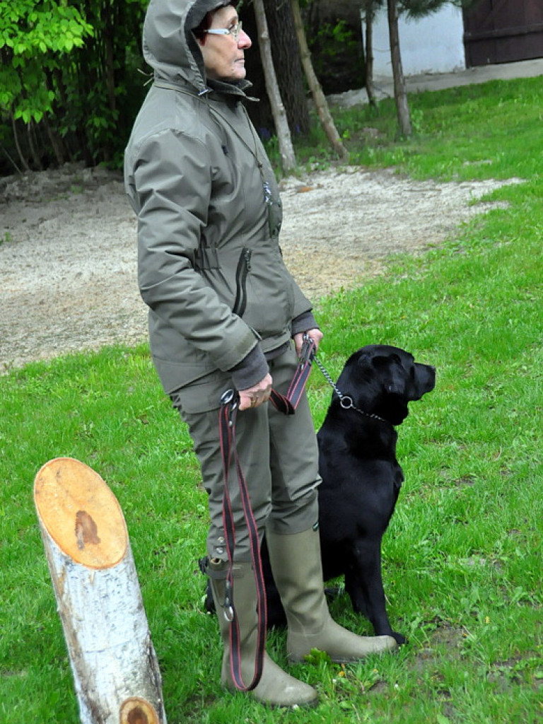 Psy myśliwskie rywalizowały w Wólce Biskiej (WYNIKI, FOTO)