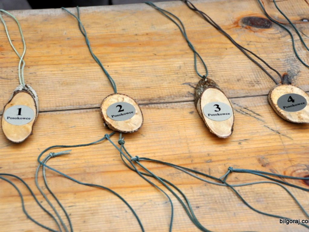 Psy myśliwskie rywalizowały w Wólce Biskiej (WYNIKI, FOTO)