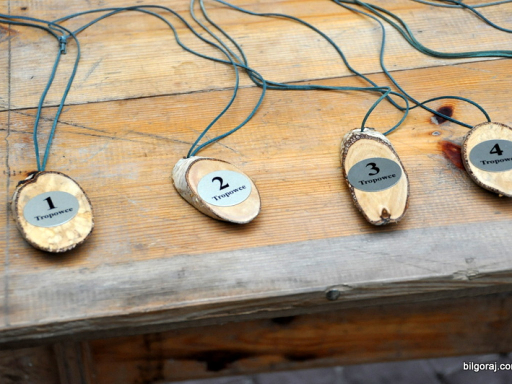 Psy myśliwskie rywalizowały w Wólce Biskiej (WYNIKI, FOTO)