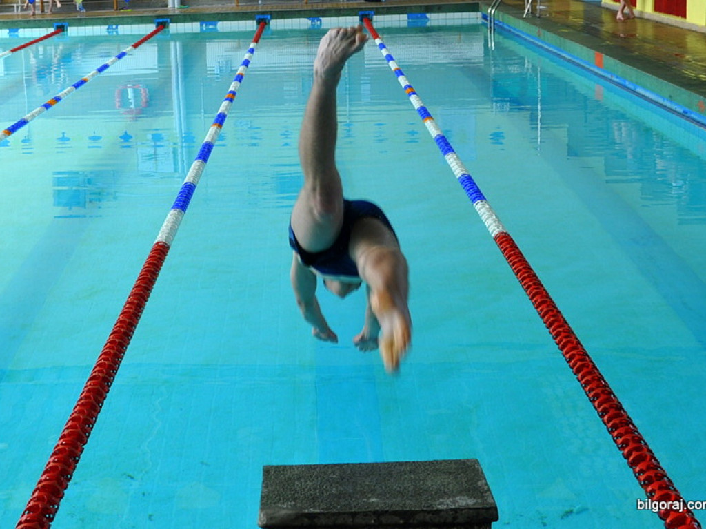 II Mistrzostwa Powiatu w Pływaniu o Puchar Starosty Biłgorajskiego (WYNIKI, FOTO)
