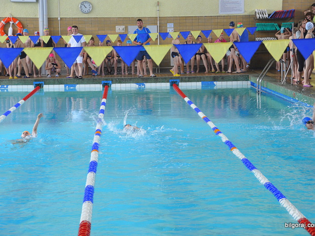 II Mistrzostwa Powiatu w Pływaniu o Puchar Starosty Biłgorajskiego (WYNIKI, FOTO)