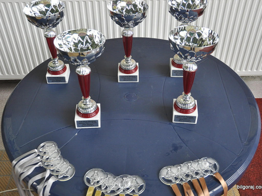 II Mistrzostwa Powiatu w Pływaniu o Puchar Starosty Biłgorajskiego (WYNIKI, FOTO)