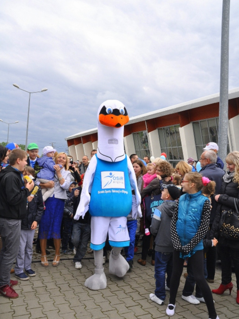 Piknik sportowo - rekreacyjny z okazji Dnia Dziecka (FOTO)