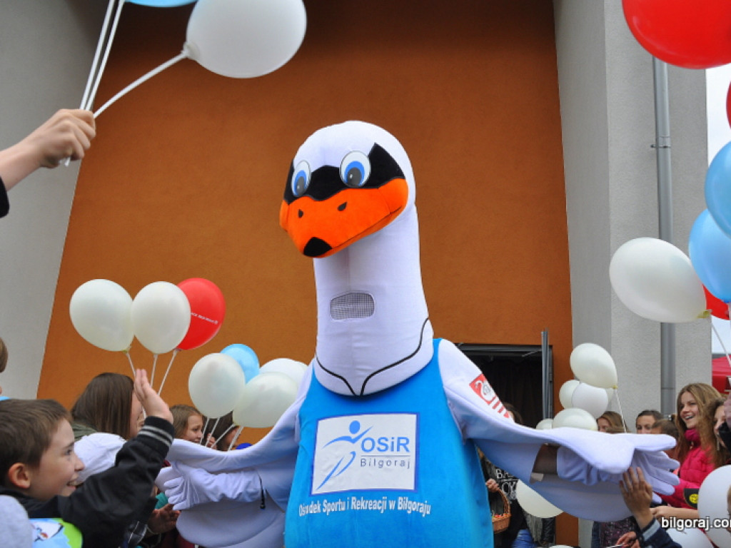 Piknik sportowo - rekreacyjny z okazji Dnia Dziecka (FOTO)