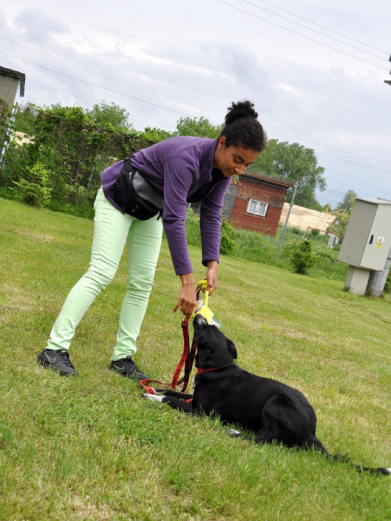 Piknik sportowo - rekreacyjny z okazji Dnia Dziecka (FOTO)