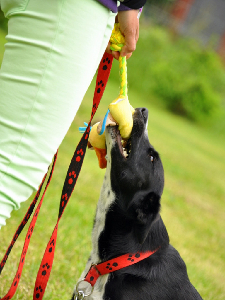 Piknik sportowo - rekreacyjny z okazji Dnia Dziecka (FOTO)