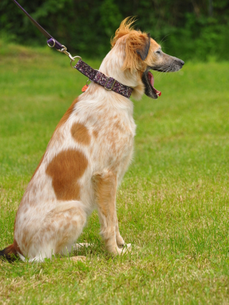 Piknik sportowo - rekreacyjny z okazji Dnia Dziecka (FOTO)