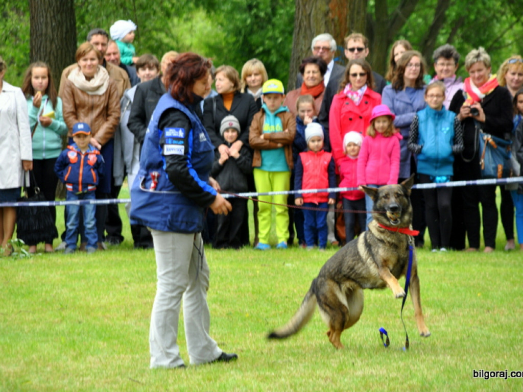 Piknik sportowo - rekreacyjny z okazji Dnia Dziecka (FOTO)