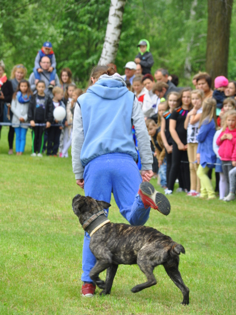 Piknik sportowo - rekreacyjny z okazji Dnia Dziecka (FOTO)