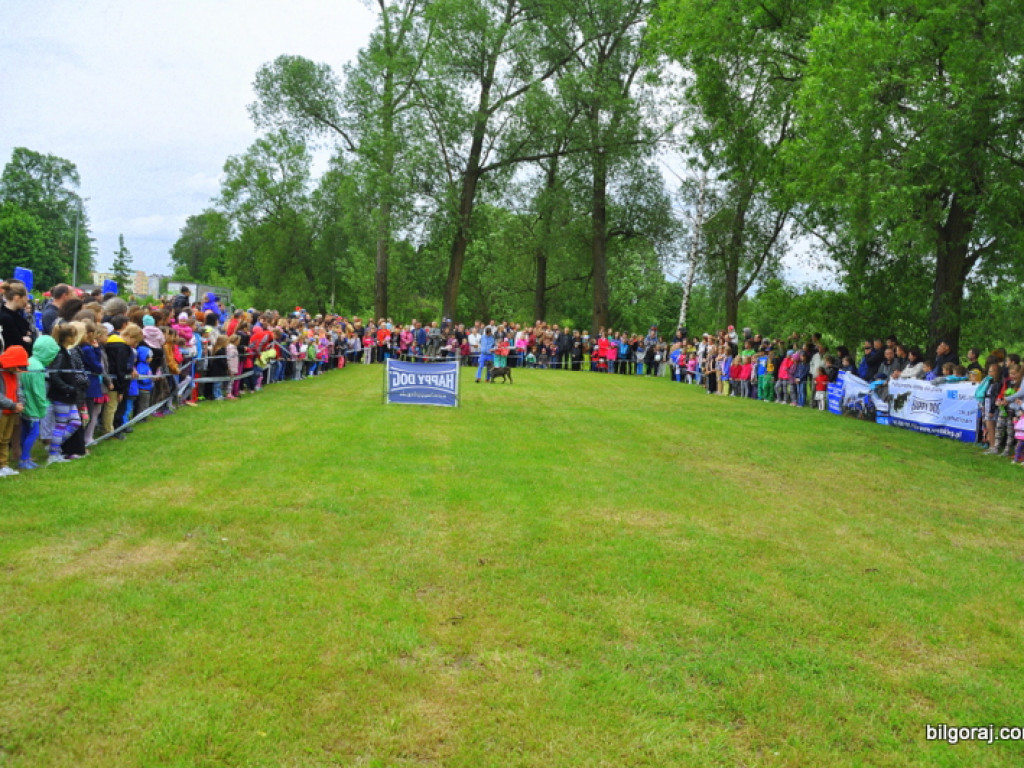 Piknik sportowo - rekreacyjny z okazji Dnia Dziecka (FOTO)