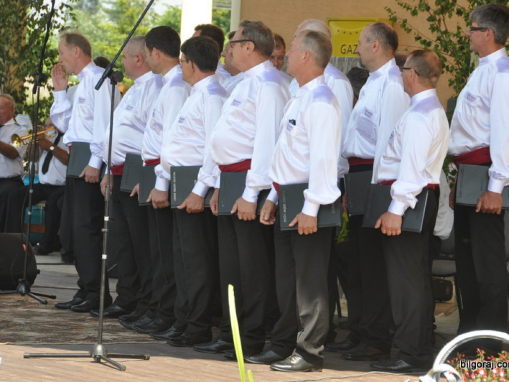 Powiatowe Święto Ludowe w Potoku Górnym. Starosta wzywa do współpracy ukierunkowanej na rozwój Ziemi Biłgorajskiej