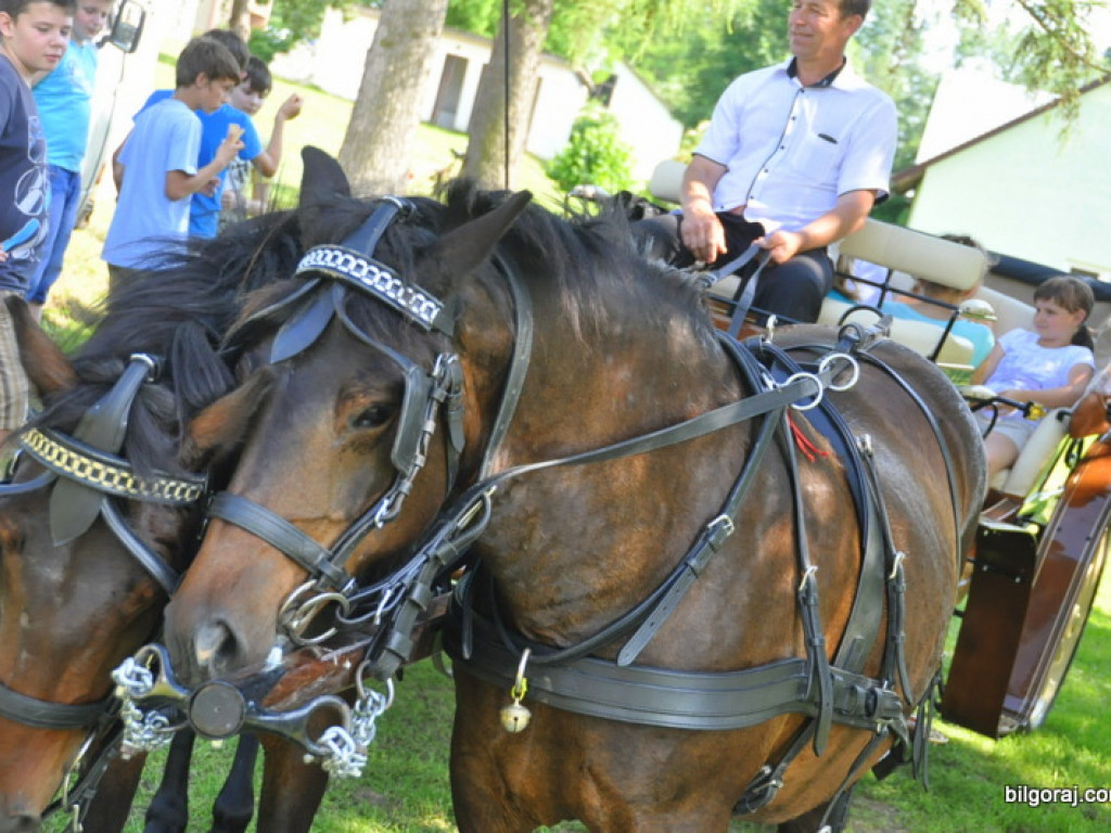 Parafiada w Biszczy, czyli bezalkoholowy festyn z mnóstwem atrakcji (FOTO, VIDEO)