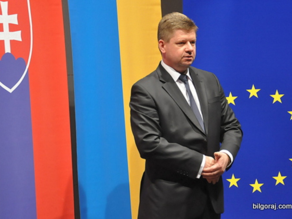 Spotkanie miast partnerskich Biłgoraja (FOTO)