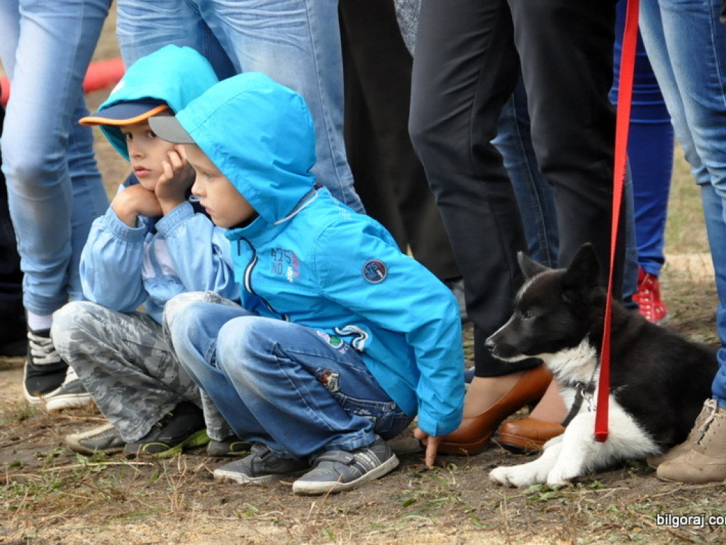 Zawody strażackie w Gminie Tereszpol - rywalizowało 25 jednostek (FOTO, WYNIKI)