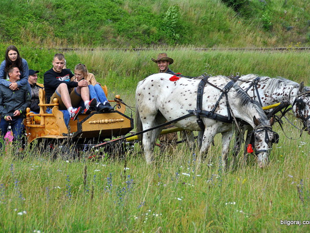 Zawody strażackie w Gminie Tereszpol - rywalizowało 25 jednostek (FOTO, WYNIKI)