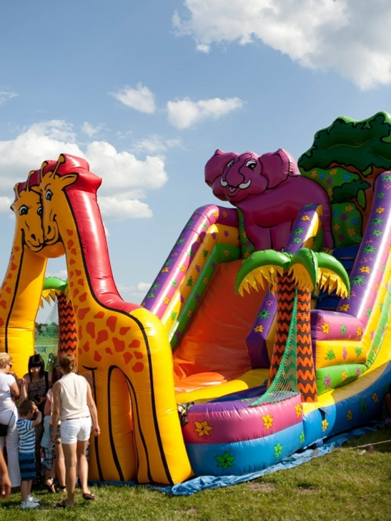 Gorajskie święto cebuli (FOTO)