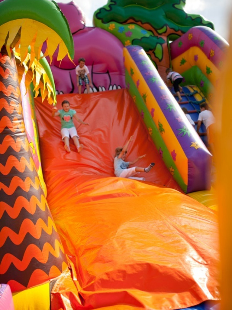 Gorajskie święto cebuli (FOTO)