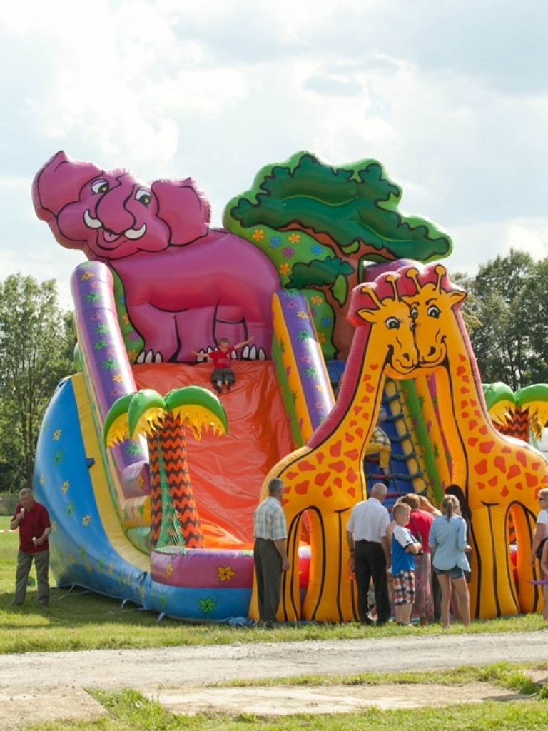 Gorajskie święto cebuli (FOTO)