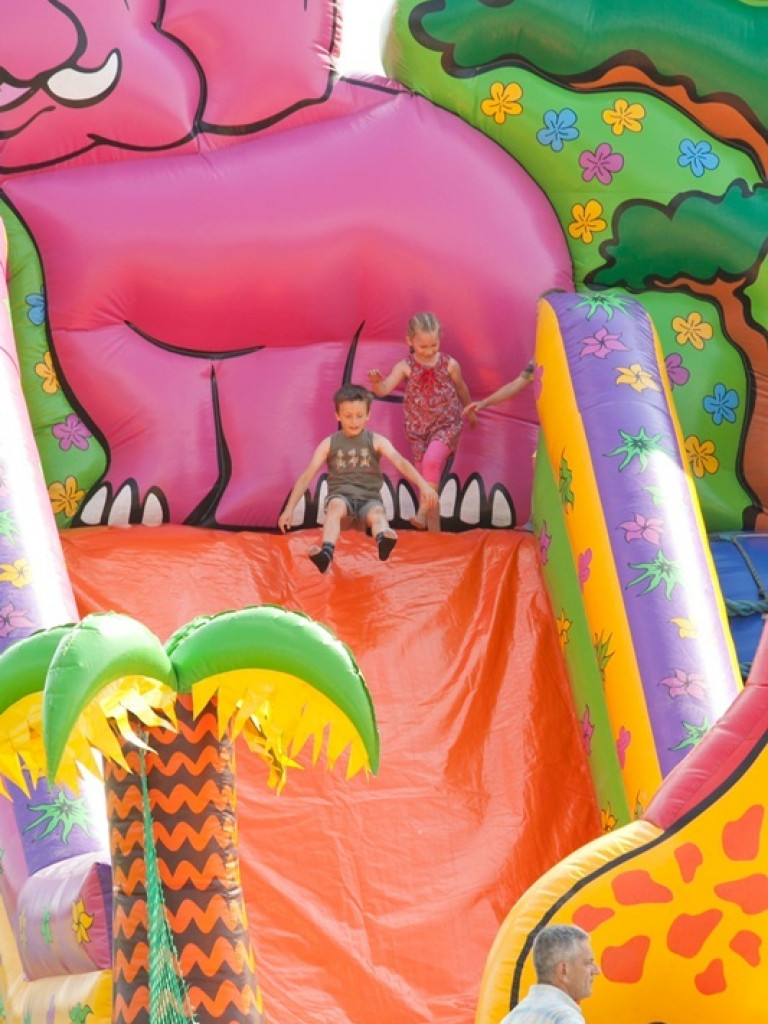 Gorajskie święto cebuli (FOTO)