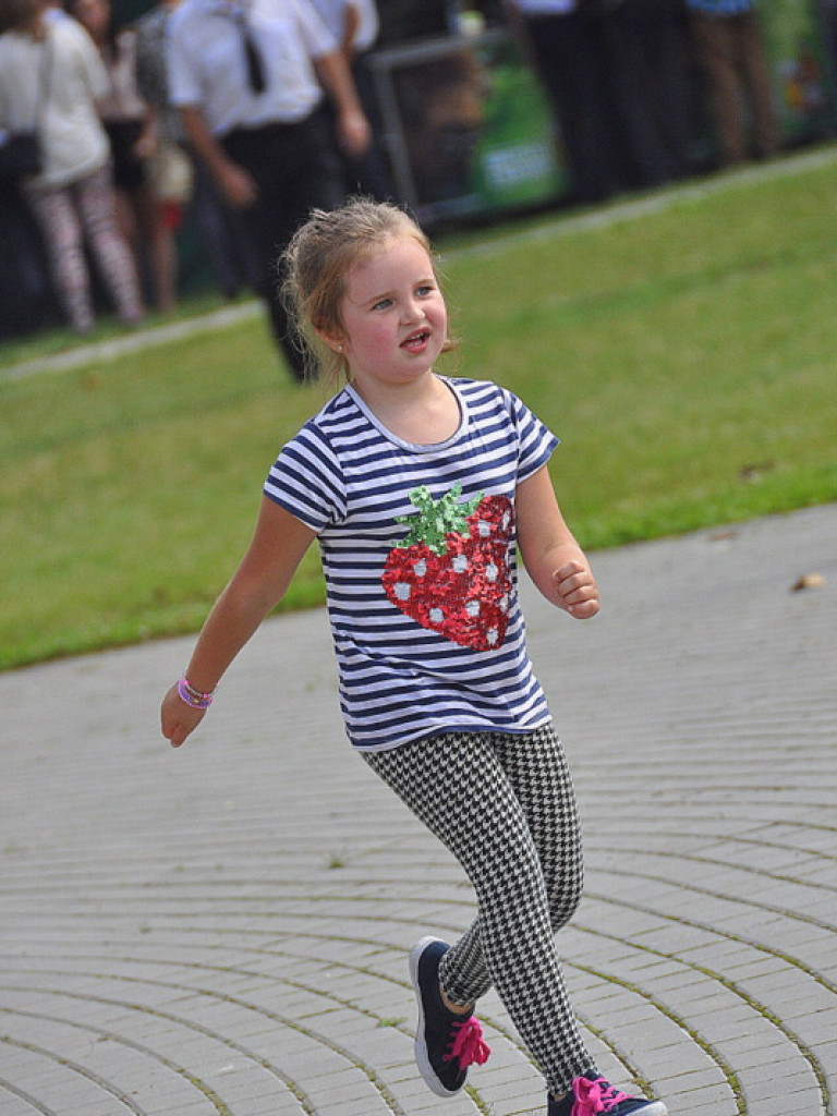 Przegląd Strażackich Orkiestr Dętych w Potoku Górnym