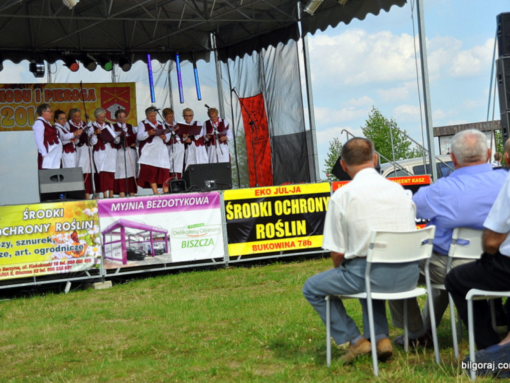 Dzień Miodu i Pieroga w Biszczy, czyli tradycyjnie i z przytupem (FOTO, VIDEO)