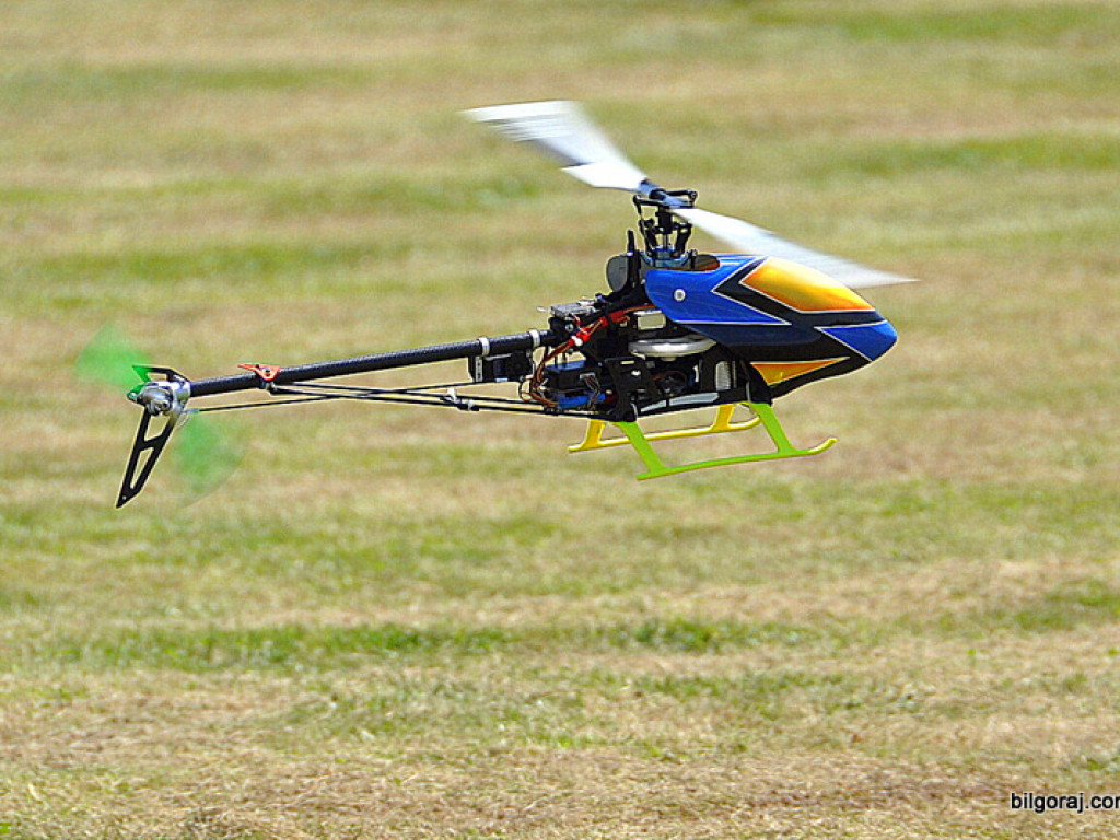 Pokazy modelarskie połączone z rodzinnym piknikiem (FOTO)