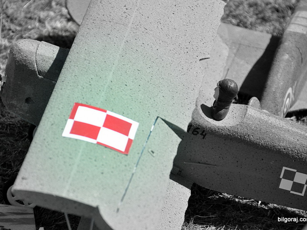 Pokazy modelarskie połączone z rodzinnym piknikiem (FOTO)