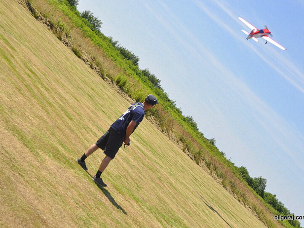 Pokazy modelarskie połączone z rodzinnym piknikiem (FOTO)