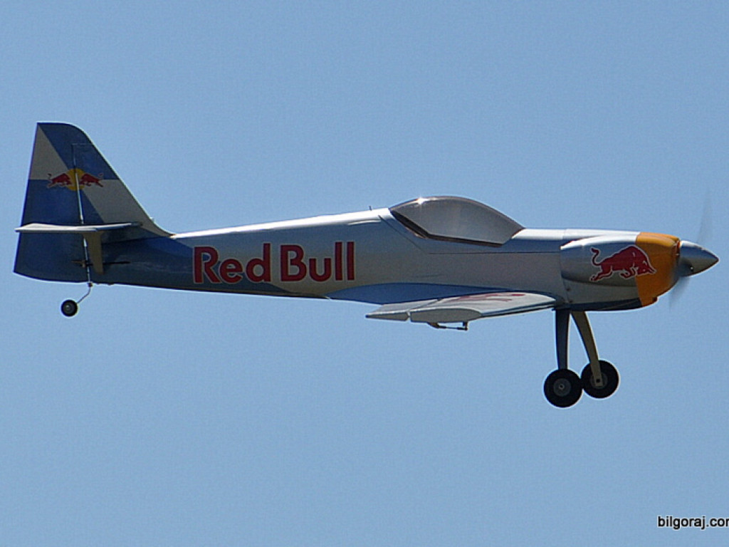 Pokazy modelarskie połączone z rodzinnym piknikiem (FOTO)