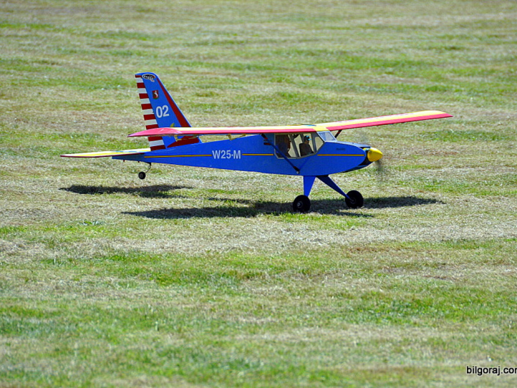 Pokazy modelarskie połączone z rodzinnym piknikiem (FOTO)