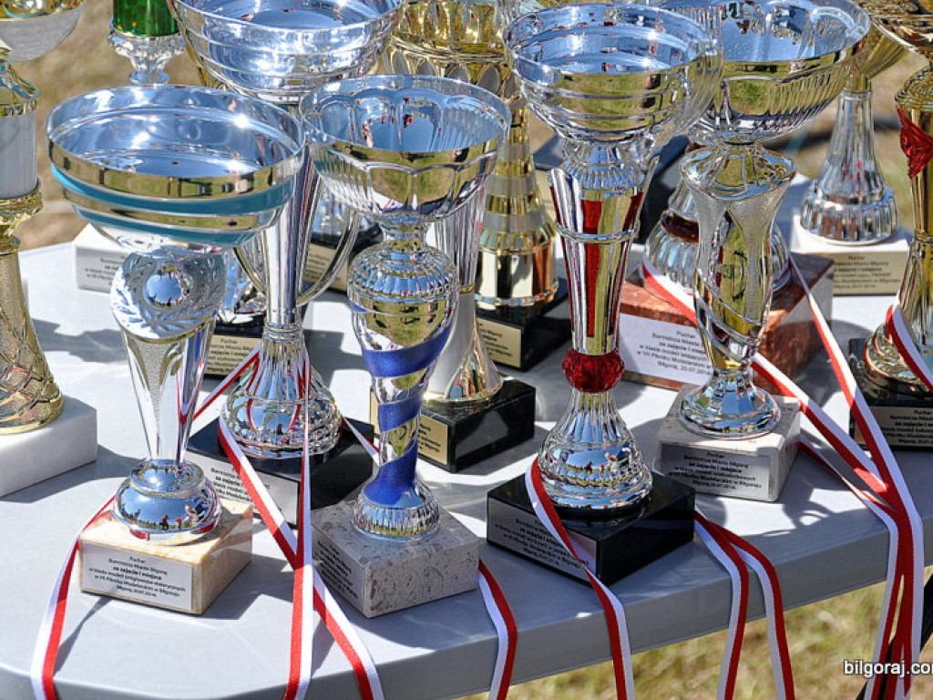 Pokazy modelarskie połączone z rodzinnym piknikiem (FOTO)