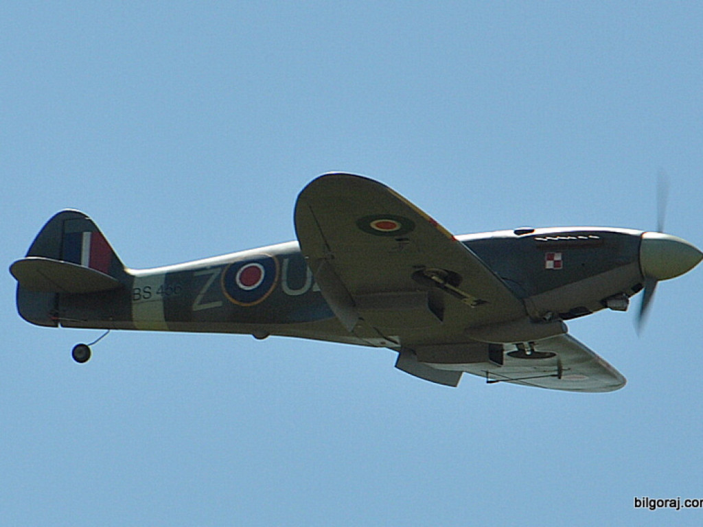 Pokazy modelarskie połączone z rodzinnym piknikiem (FOTO)