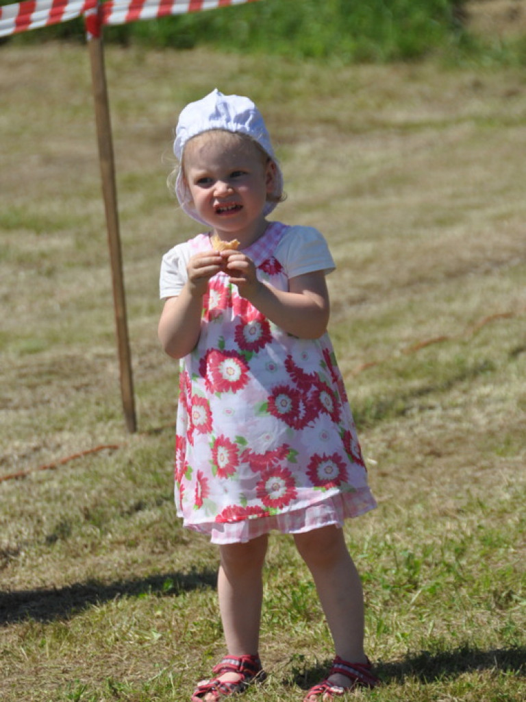 Pokazy modelarskie połączone z rodzinnym piknikiem (FOTO)