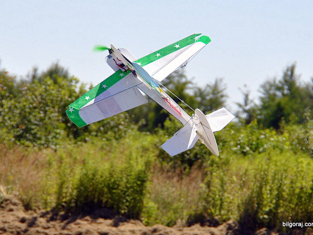 Pokazy modelarskie połączone z rodzinnym piknikiem (FOTO)