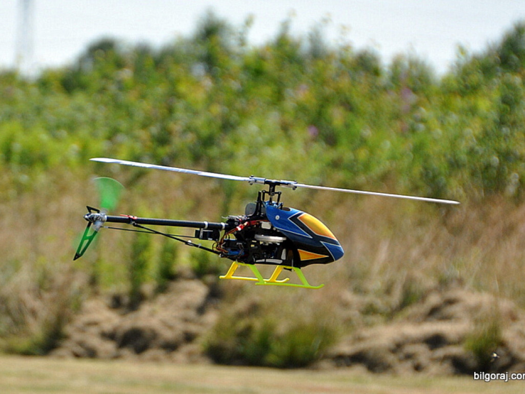 Pokazy modelarskie połączone z rodzinnym piknikiem (FOTO)