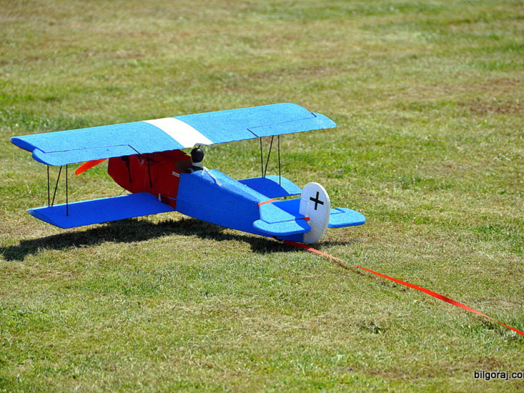 Pokazy modelarskie połączone z rodzinnym piknikiem (FOTO)