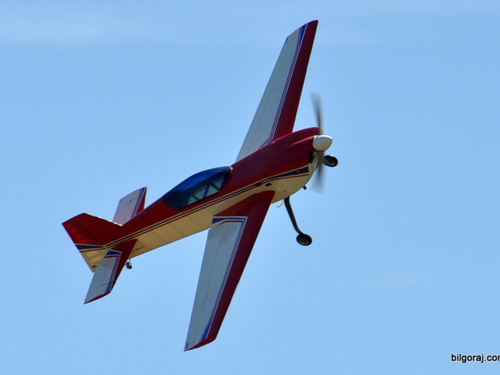 Pokazy modelarskie połączone z rodzinnym piknikiem (FOTO)