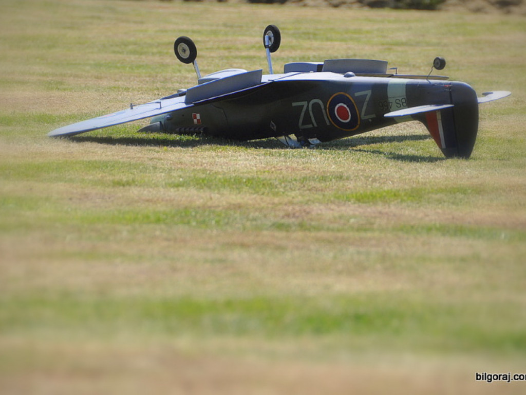 Pokazy modelarskie połączone z rodzinnym piknikiem (FOTO)