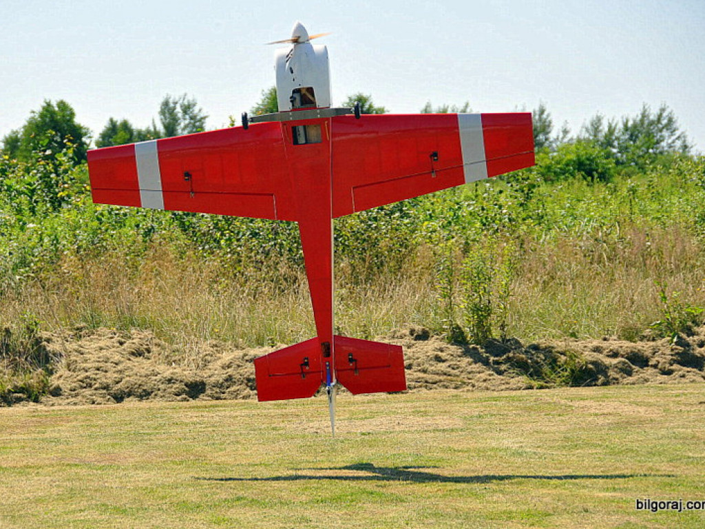Pokazy modelarskie połączone z rodzinnym piknikiem (FOTO)