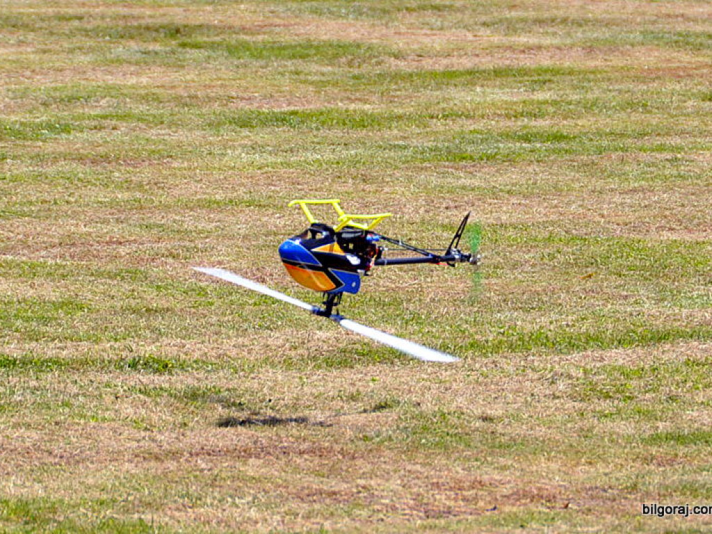 Pokazy modelarskie połączone z rodzinnym piknikiem (FOTO)